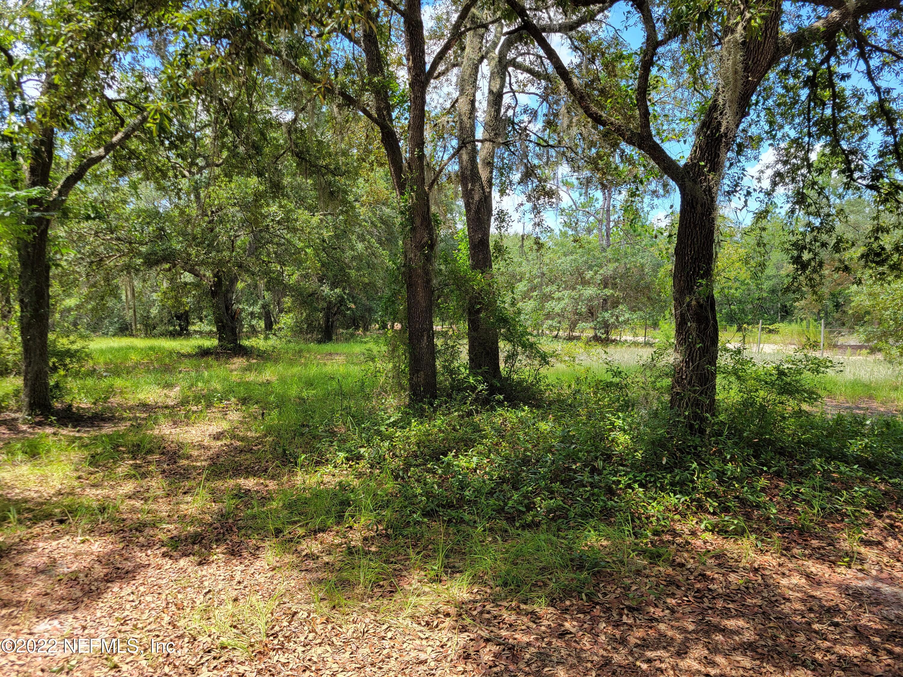 306 Songbird Road Palatka, FL 32177 - Photo 35 of 41 20220713_122316