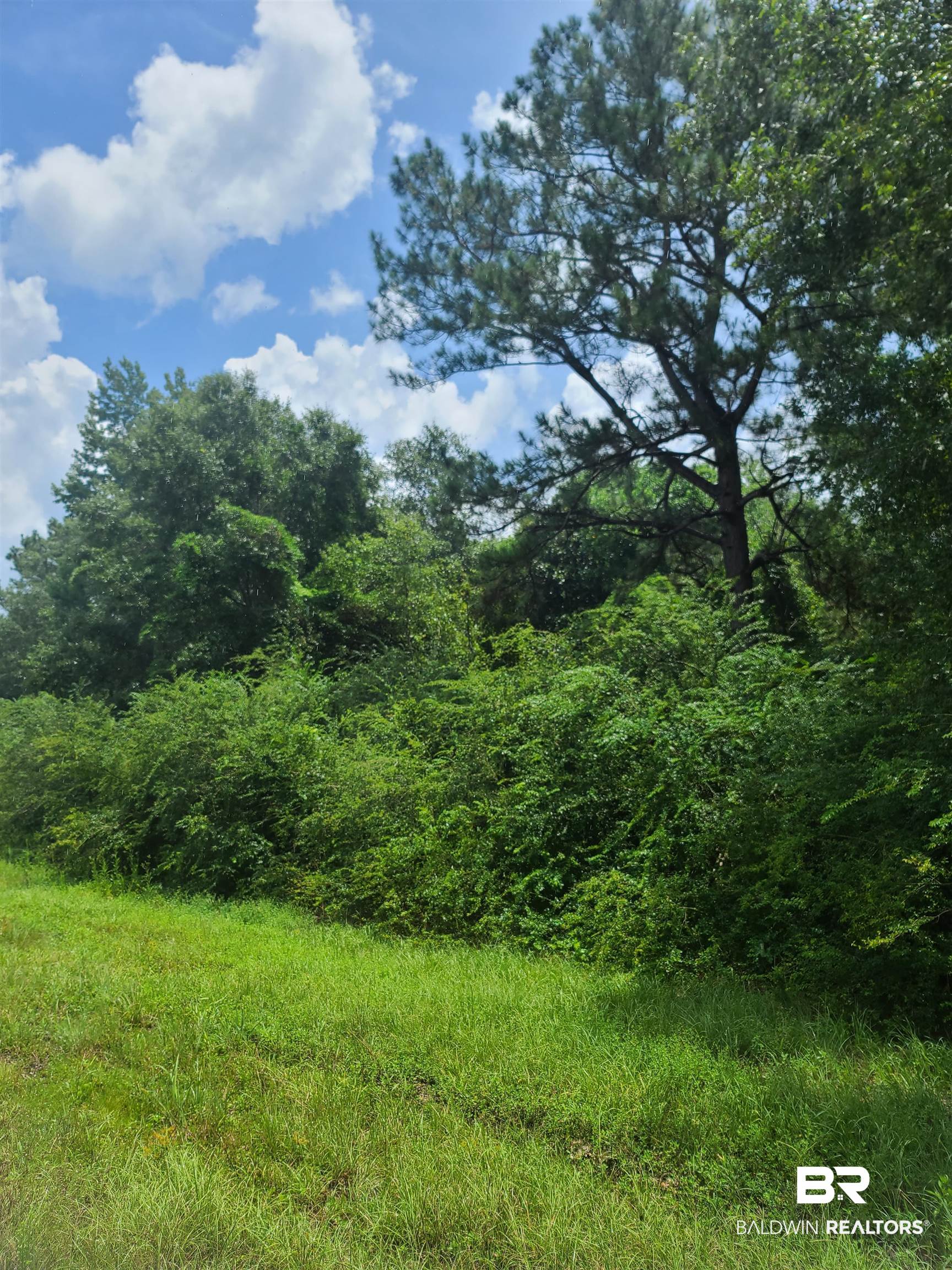 65 Southeast Interstate 65 Atmore, AL 36502 - Photo 4 of 6 Gallery Image 4