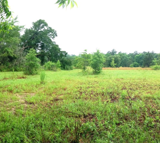 Lot 7 Sowell Road Dothan, AL 36301 - Photo 1 of 1