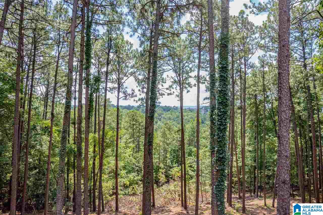2625 Dolly Ridge Road Birmingham, AL 35243 - Photo 47 of 50 Gallery Image 47
