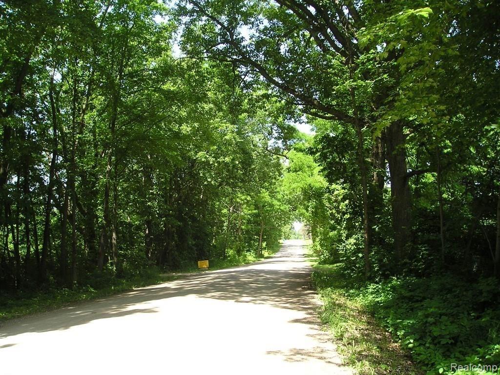 Parcel B Havens Road Dryden, MI 48428 - Photo 2 of 3