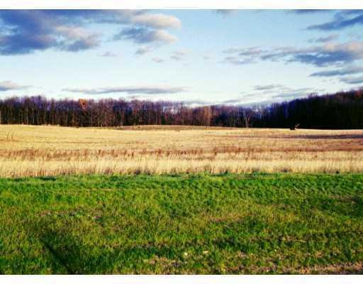 8067 Trail Ridge Dexter, MI 48130 - Photo 8 of 8 Photo 8