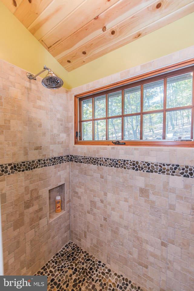 1022 Boulder Spring Trail Berkeley Springs, WV 25411 - Photo 14 of 30 Bath (Master)