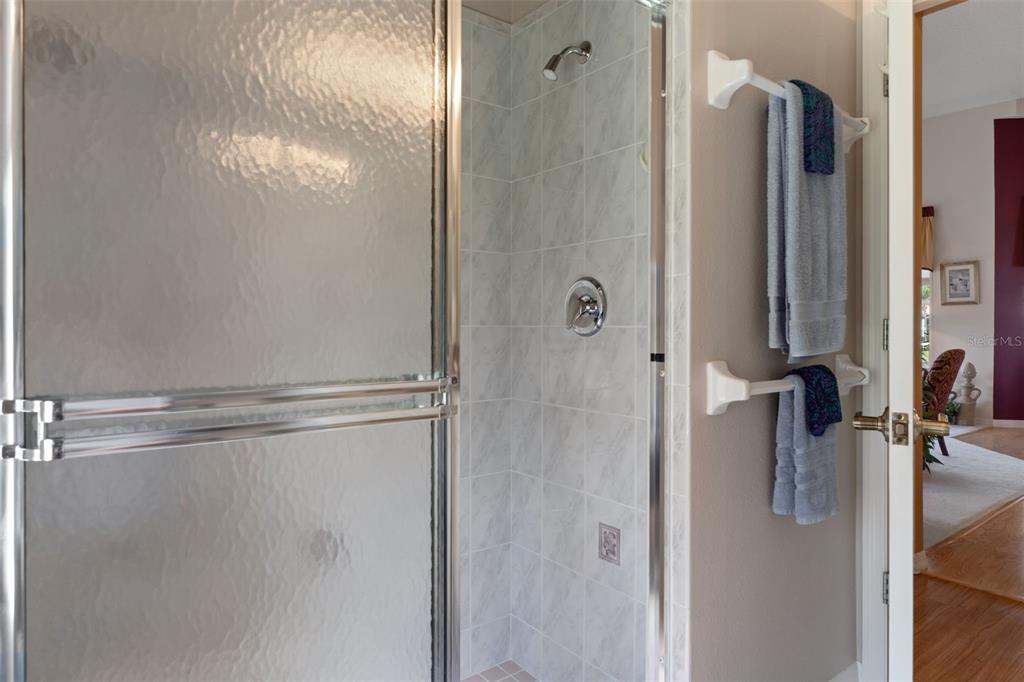 10081 Georgetown Court Weeki Wachee, FL 34613 - Photo 41 of 76 a bathroom with a glass shower door