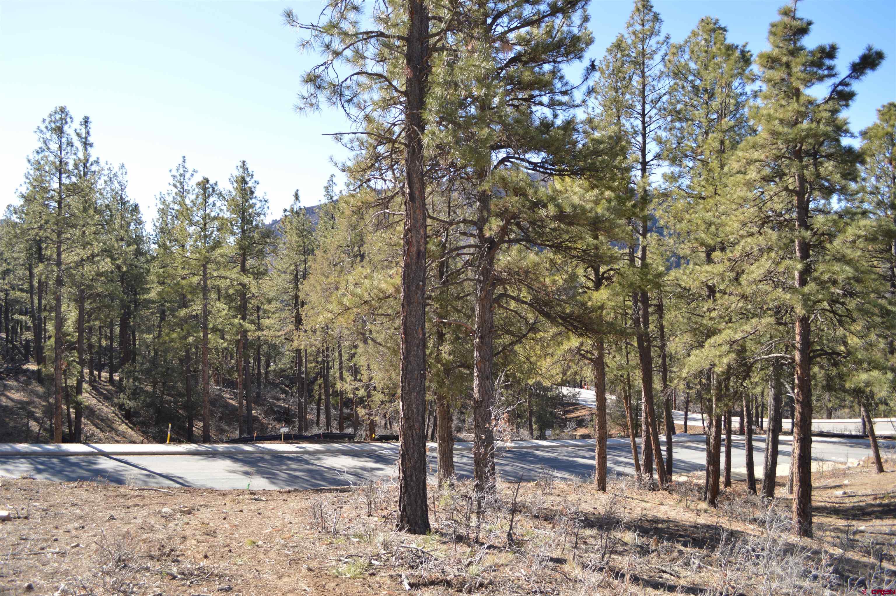 35 Snowdrop Court Durango, CO 81301 - Photo 21 of 23 a view of a forest filled with trees