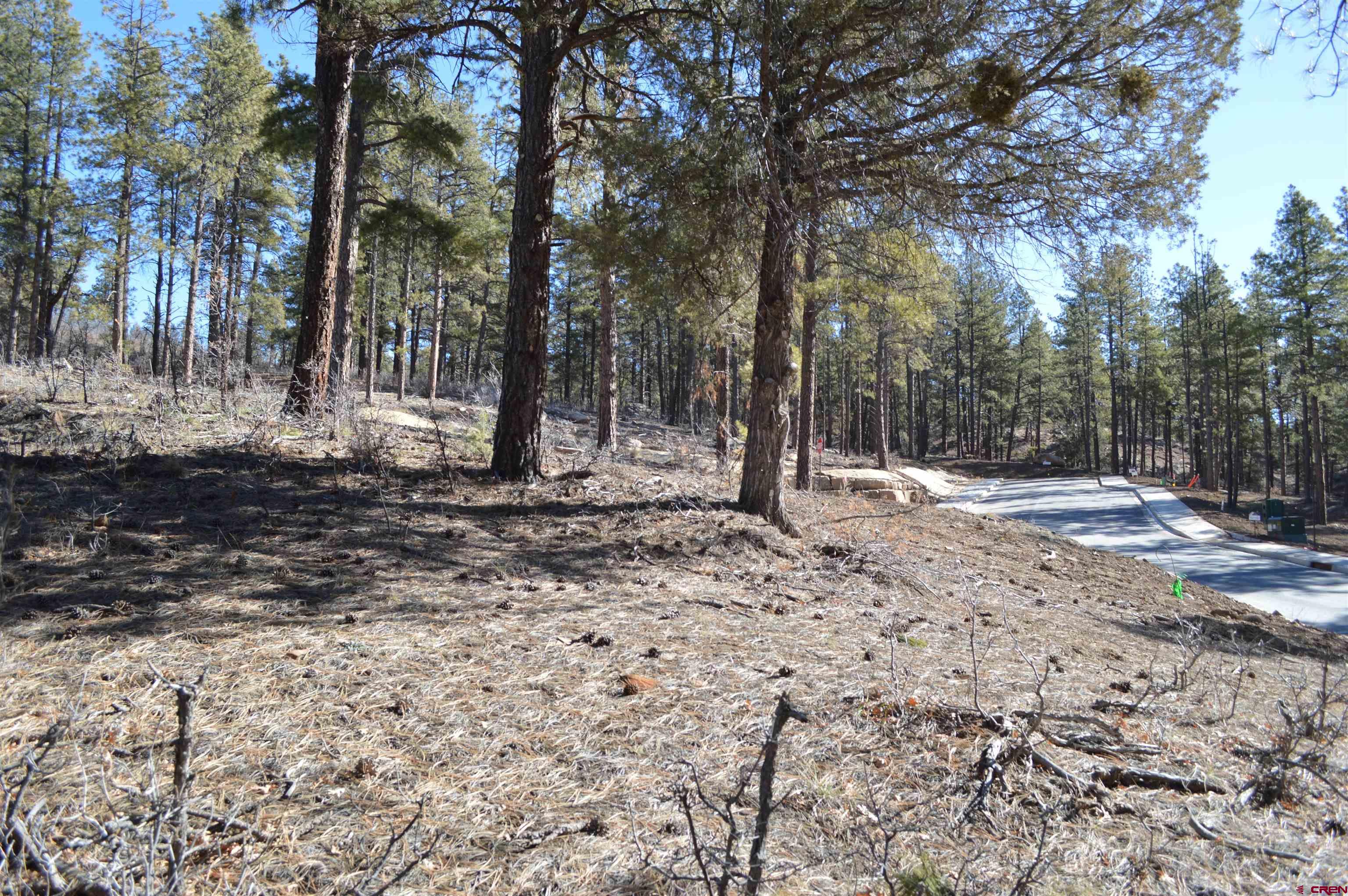35 Snowdrop Court Durango, CO 81301 - Photo 23 of 23 a view of outdoor space with trees