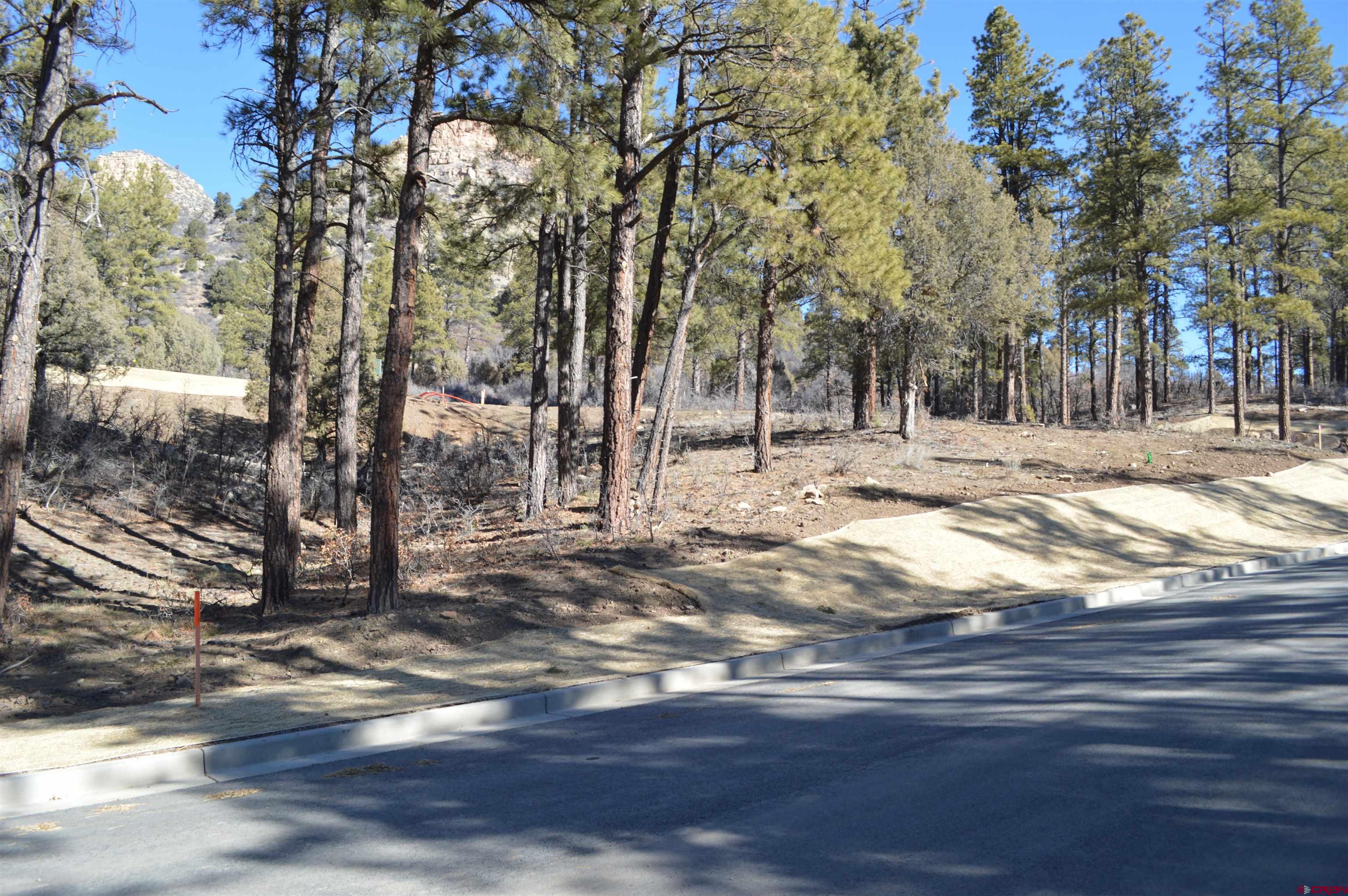 35 Snowdrop Court Durango, CO 81301 - Photo 6 of 23 a view of dirt yard with a large tree