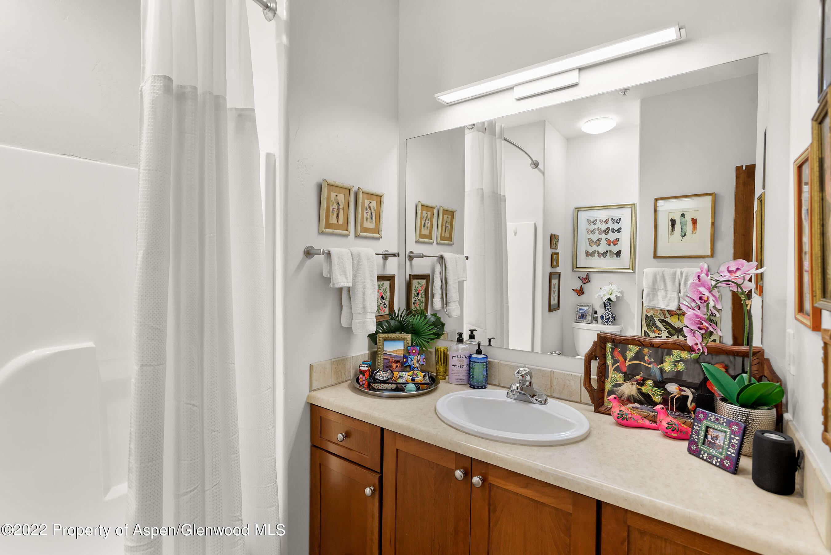 543 Evans Court Basalt, CO 81621 - Photo 13 of 26 543EvansCt_DASH_220714003