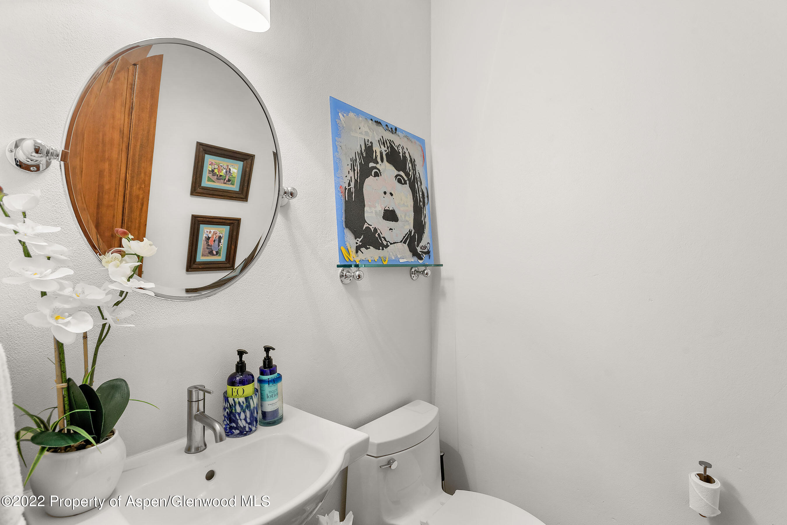 543 Evans Court Basalt, CO 81621 - Photo 14 of 26 543EvansCt powder