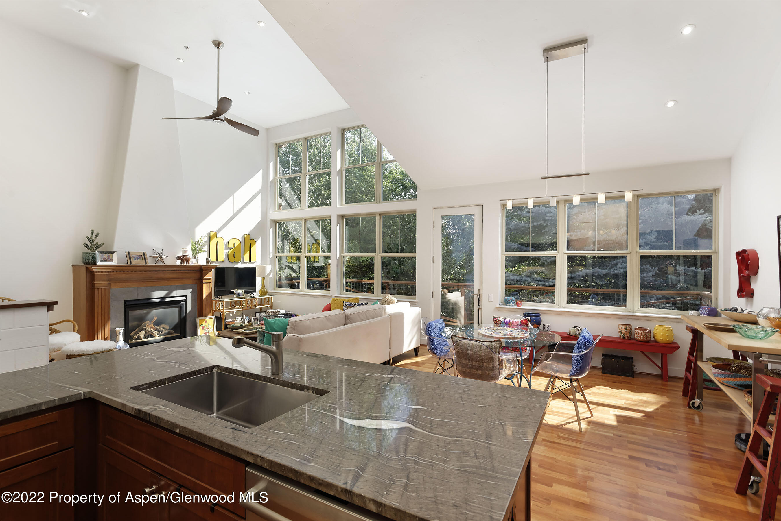 543 Evans Court Basalt, CO 81621 - Photo 3 of 26 543EvansCt_DASH_220714010