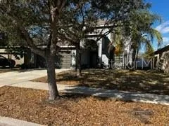 a view of a yard with trees