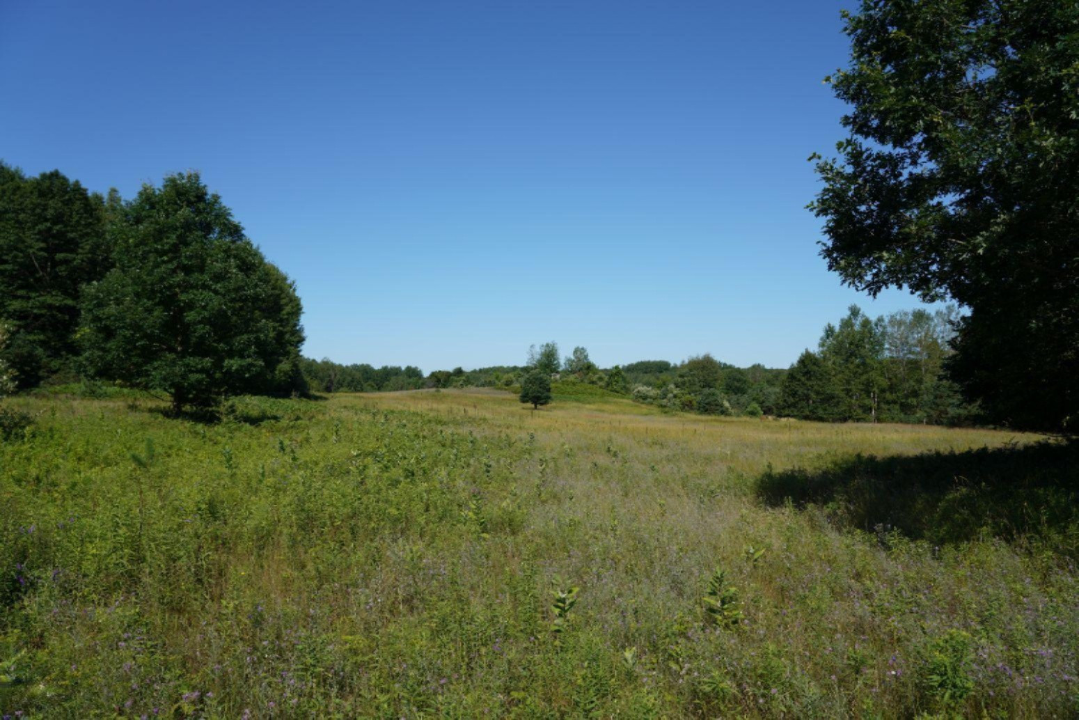 East Baseline Road Hart, MI 49420 - Photo 1 of 24 1