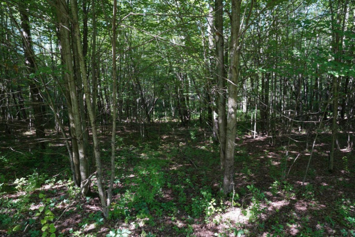 East Baseline Road Hart, MI 49420 - Photo 13 of 24 13