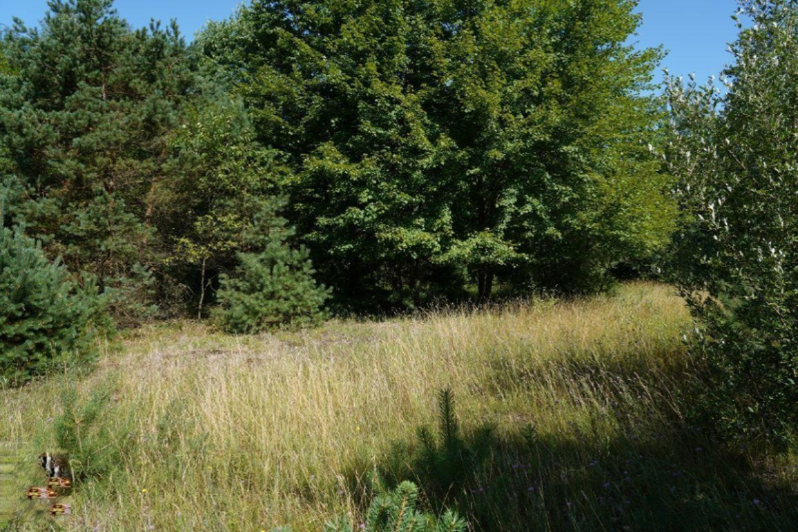 East Baseline Road Hart, MI 49420 - Photo 5 of 24 5