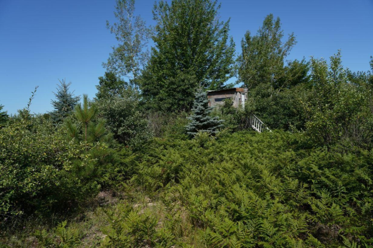 East Baseline Road Hart, MI 49420 - Photo 8 of 24 8