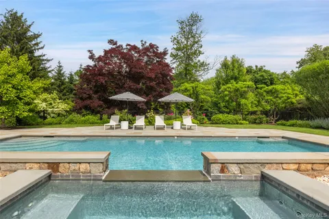 a view of swimming pool with seating area and trees in the background