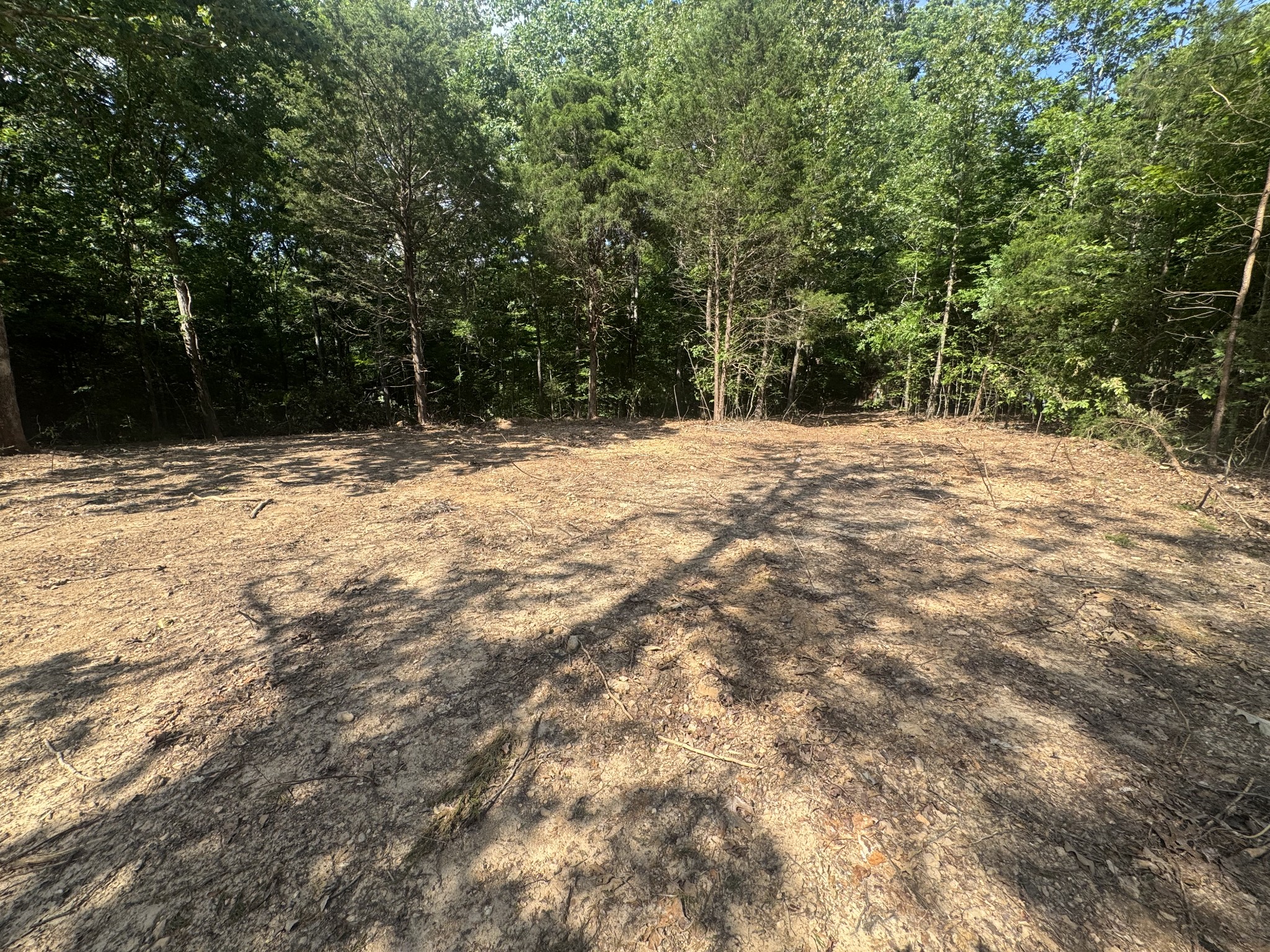 1 Commissary Ridge Road Indian Mound, TN 37079 - Photo 4 of 9 a view of empty space with large trees