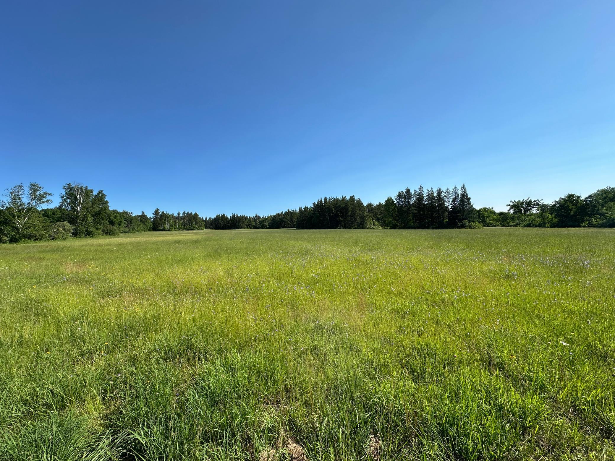 Tbd 205th Avenue Sebeka, MN 56477 - Photo 11 of 21