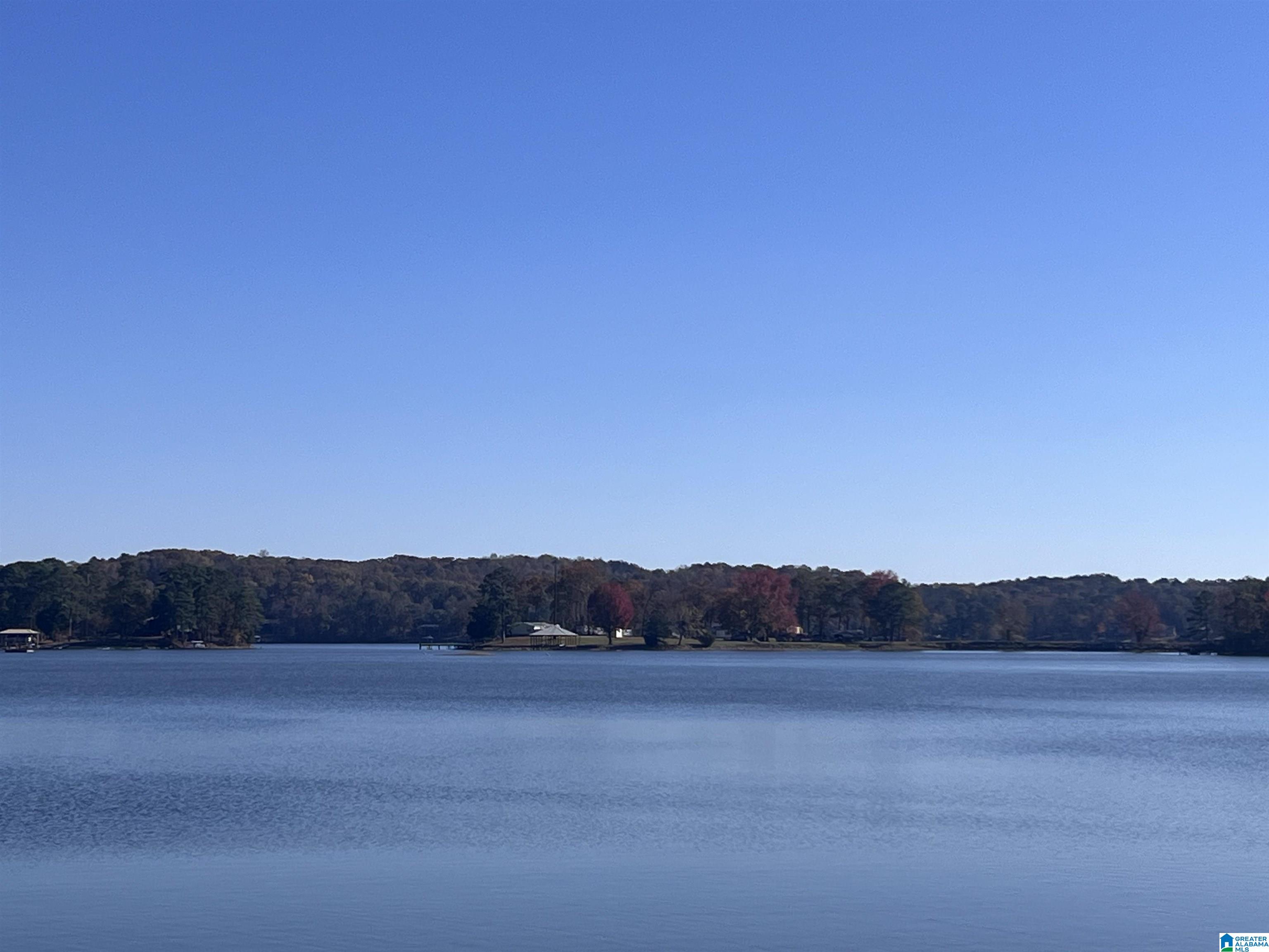 0 Coosa Island Road, Unit 23 AND 24 Cropwell, AL 35054 - Photo 19 of 23