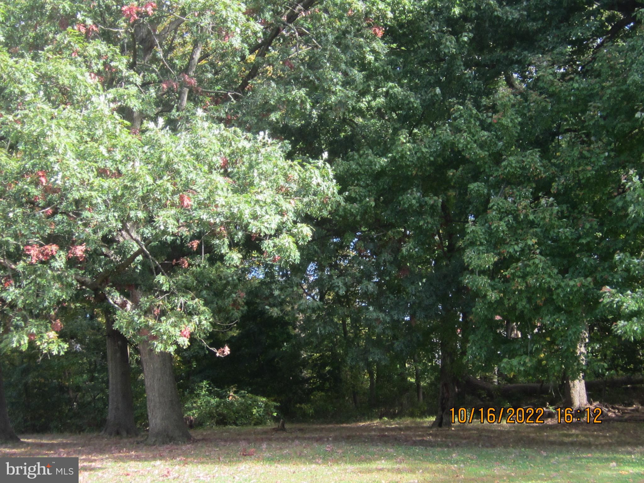 11927 Millbrook Road Philadelphia, PA 19154 - Photo 42 of 43