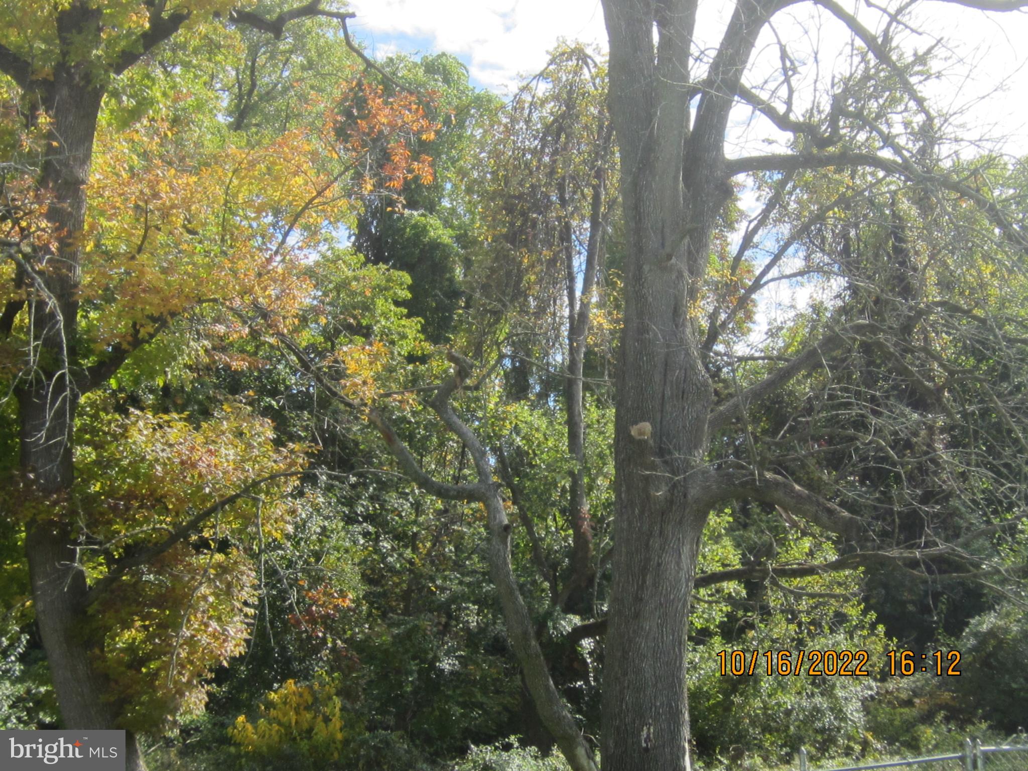 11927 Millbrook Road Philadelphia, PA 19154 - Photo 43 of 43