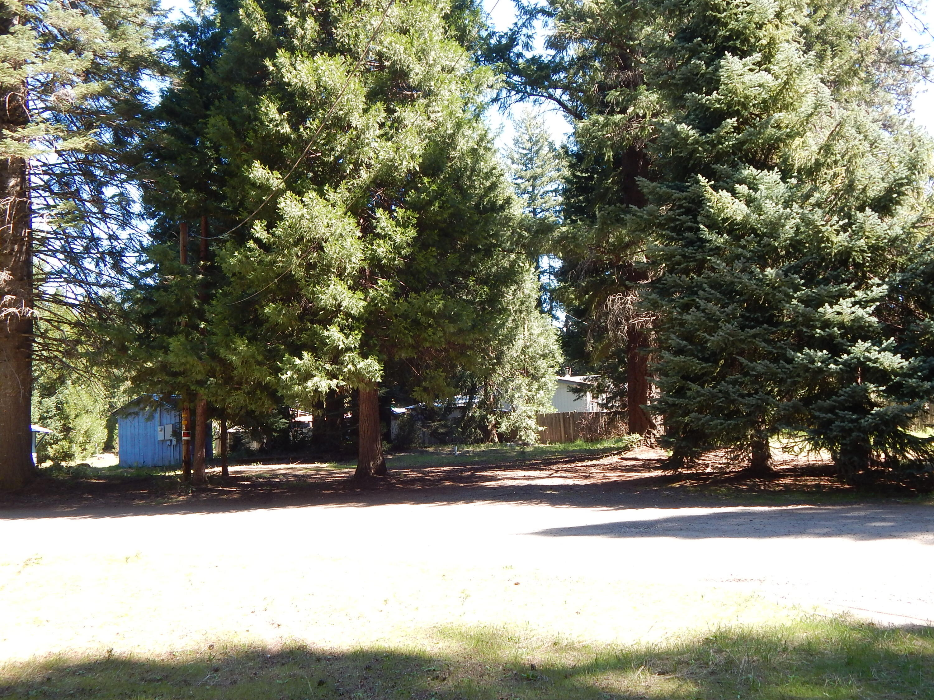 356 M Lane Prospect, OR 97536 - Photo 4 of 5 DSCN6055