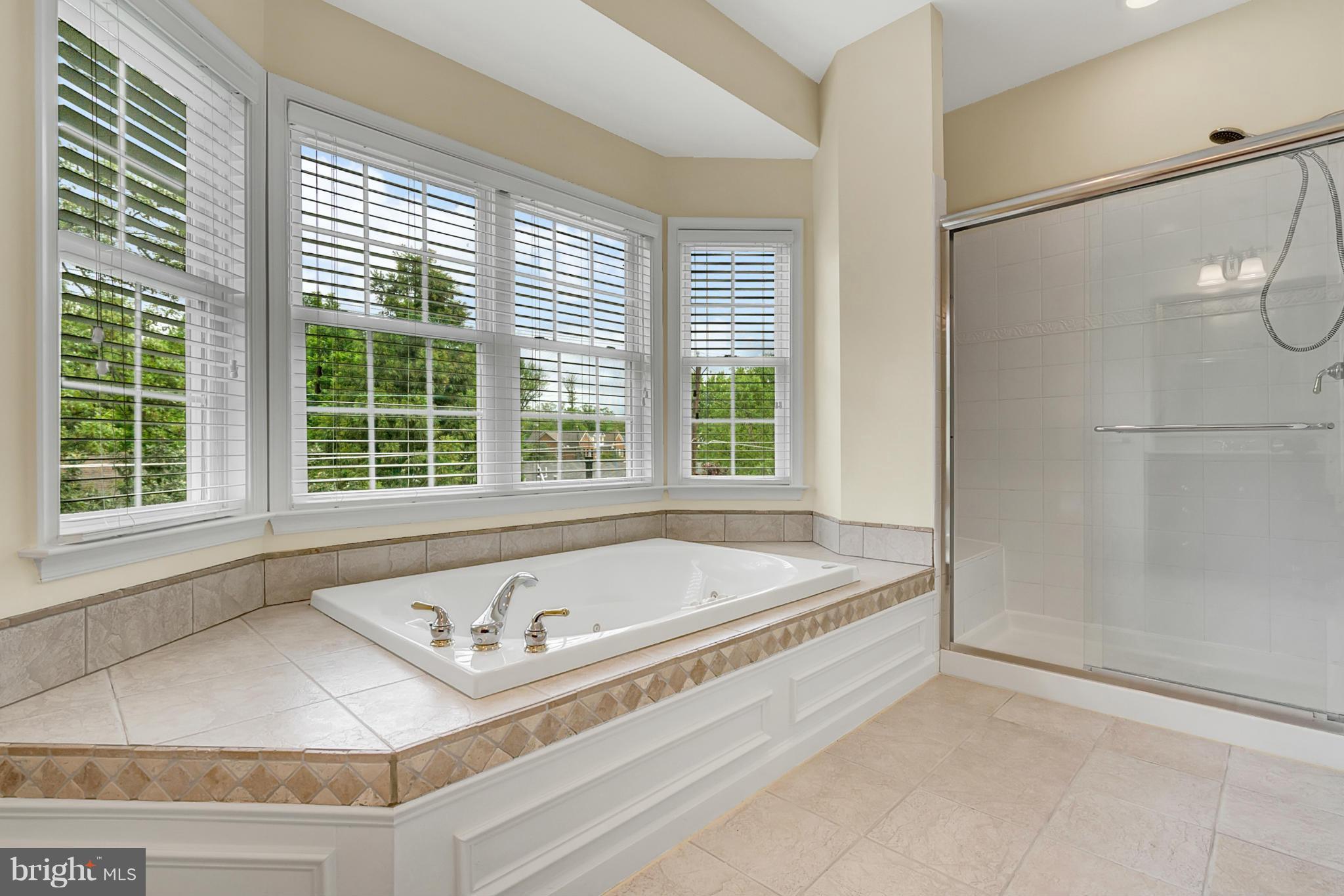6329 Quander Road Alexandria, VA 22307 - Photo 19 of 30 Bath (Master)