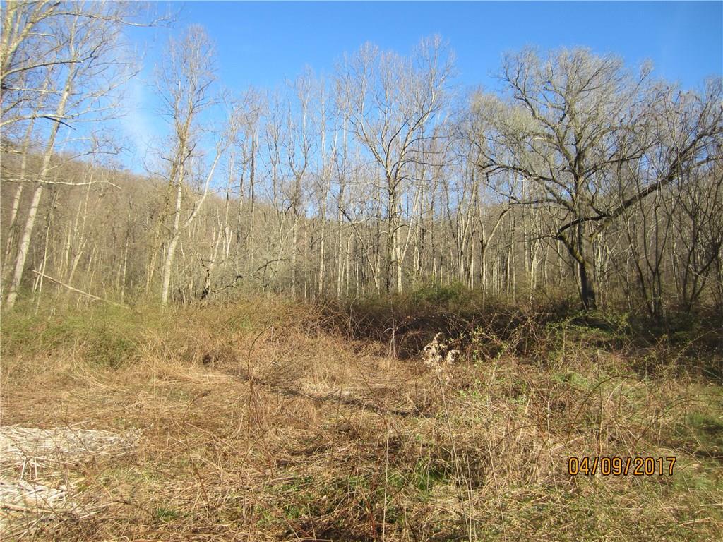 1422 Mae West Road Confluence, PA 15424 - Photo 3 of 6