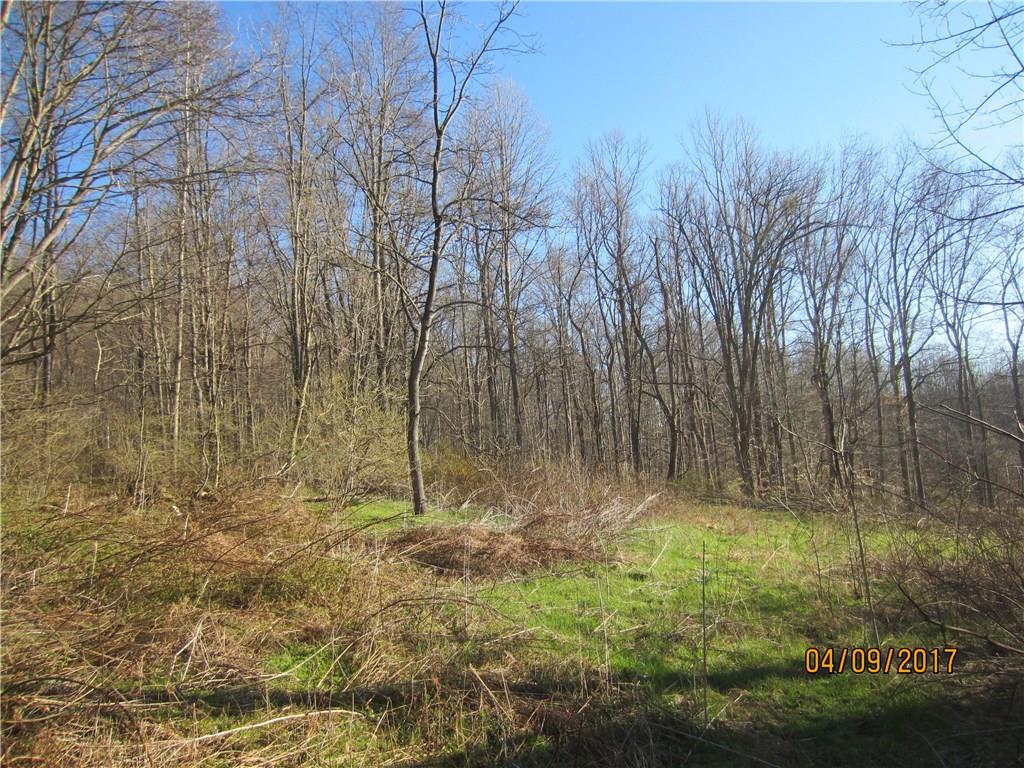 1422 Mae West Road Confluence, PA 15424 - Photo 4 of 6