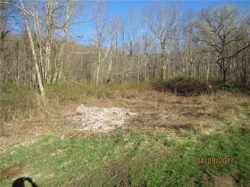 1422 Mae West Road Confluence, PA 15424 - Photo 5 of 6