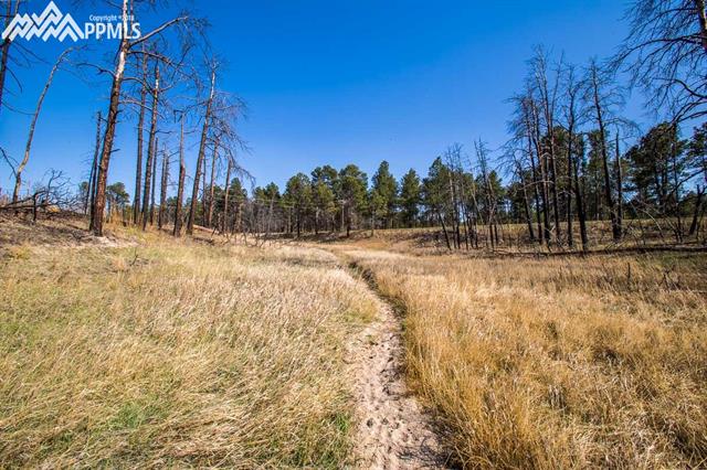 7680 Shoup Road Colorado Springs, CO 80908 - Photo 34 of 36 Gallery Image 34
