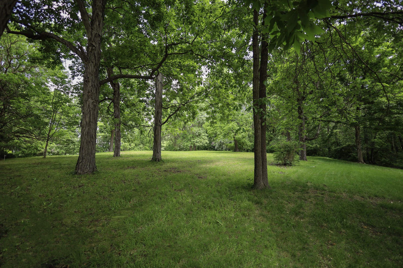410 North Kruse Road Mount Zion, IL 62549 - Photo 3 of 6