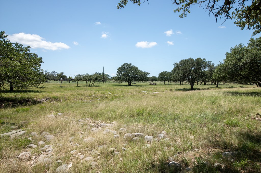 8812 Old Harper Road Fredericksburg, TX 78624 - Photo 12 of 14 a view of a green field with trees in the background