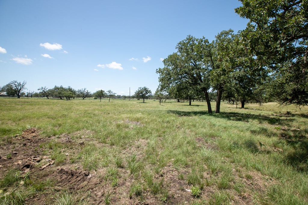 8812 Old Harper Road Fredericksburg, TX 78624 - Photo 13 of 14 a view of outdoor space with trees all around