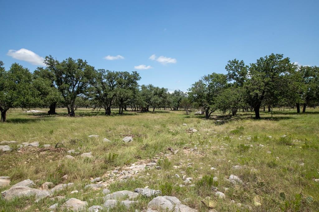 8812 Old Harper Road Fredericksburg, TX 78624 - Photo 2 of 14 a view of outdoor space with deck and yard