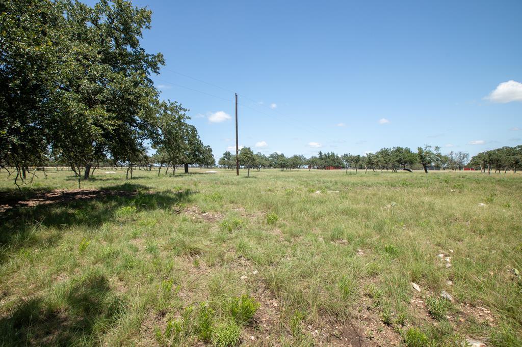 8812 Old Harper Road Fredericksburg, TX 78624 - Photo 3 of 14 a view of a green field with wooden fence