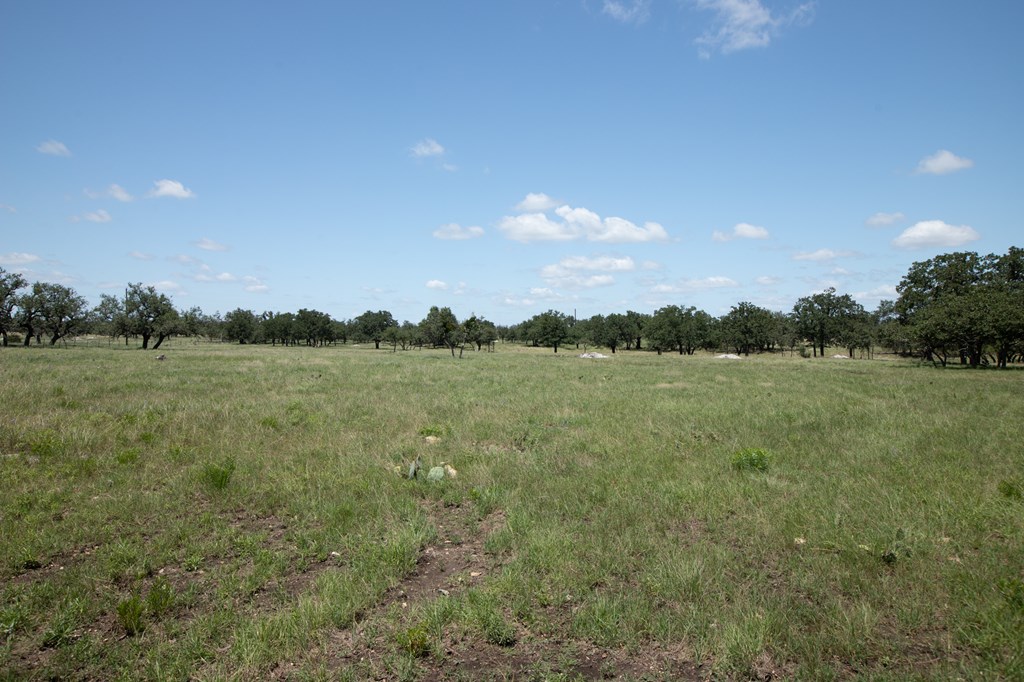8812 Old Harper Road Fredericksburg, TX 78624 - Photo 4 of 14 a view of a lake and a yard