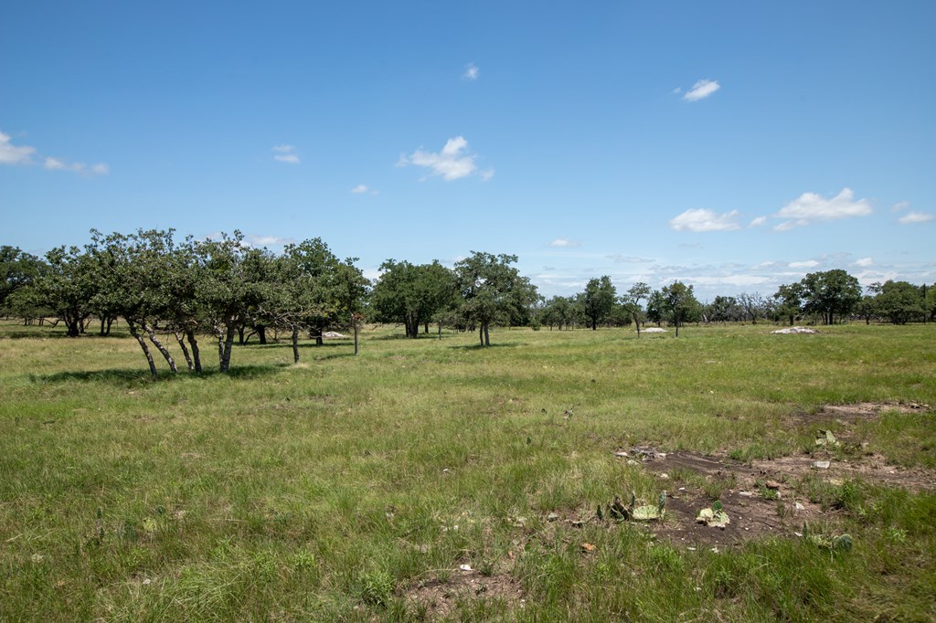 8812 Old Harper Road Fredericksburg, TX 78624 - Photo 9 of 14 a view of a green field