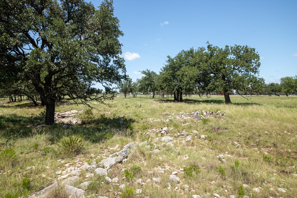 8812 Old Harper Road Fredericksburg, TX 78624 - Photo 10 of 14 a view of a field with trees in the background