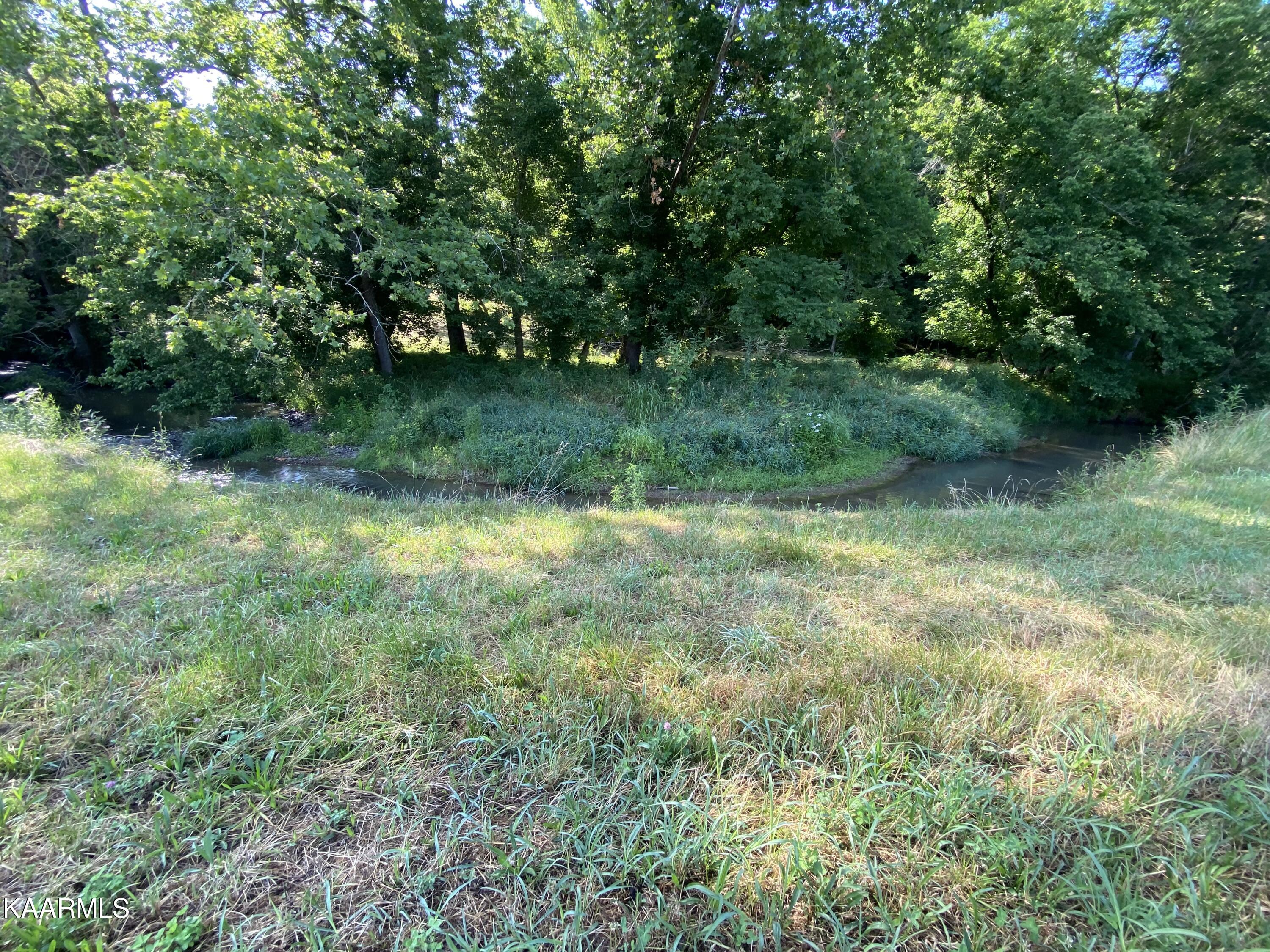 7247 Mulberry Gap Road Tazewell, TN 37879 - Photo 15 of 58 flowing creek