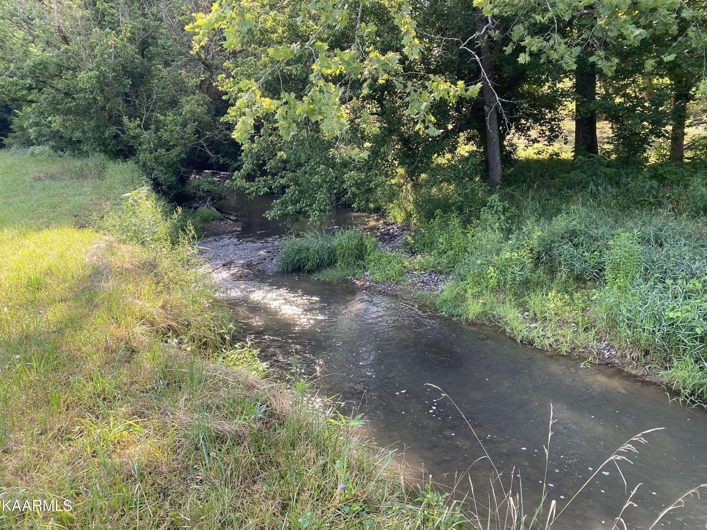 7247 Mulberry Gap Road Tazewell, TN 37879 - Photo 16 of 58 flowing creek