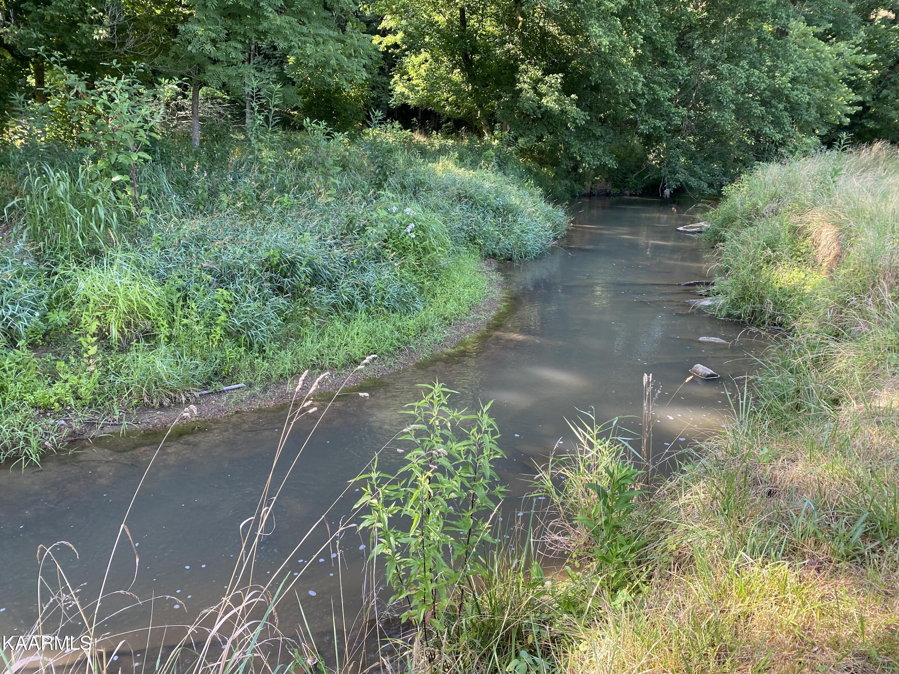 7247 Mulberry Gap Road Tazewell, TN 37879 - Photo 17 of 58 flowing creek