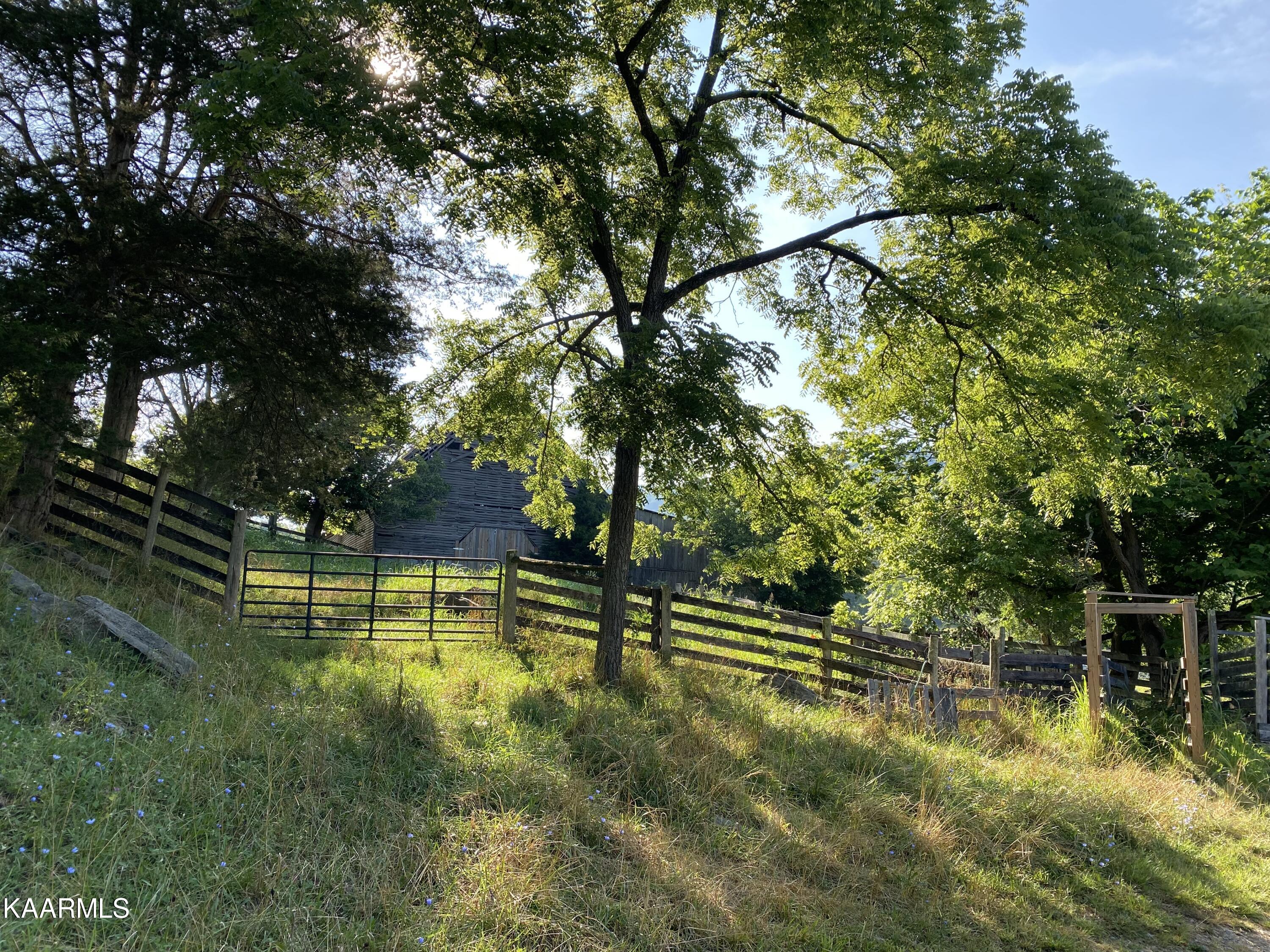 7247 Mulberry Gap Road Tazewell, TN 37879 - Photo 18 of 58 IMG-9054