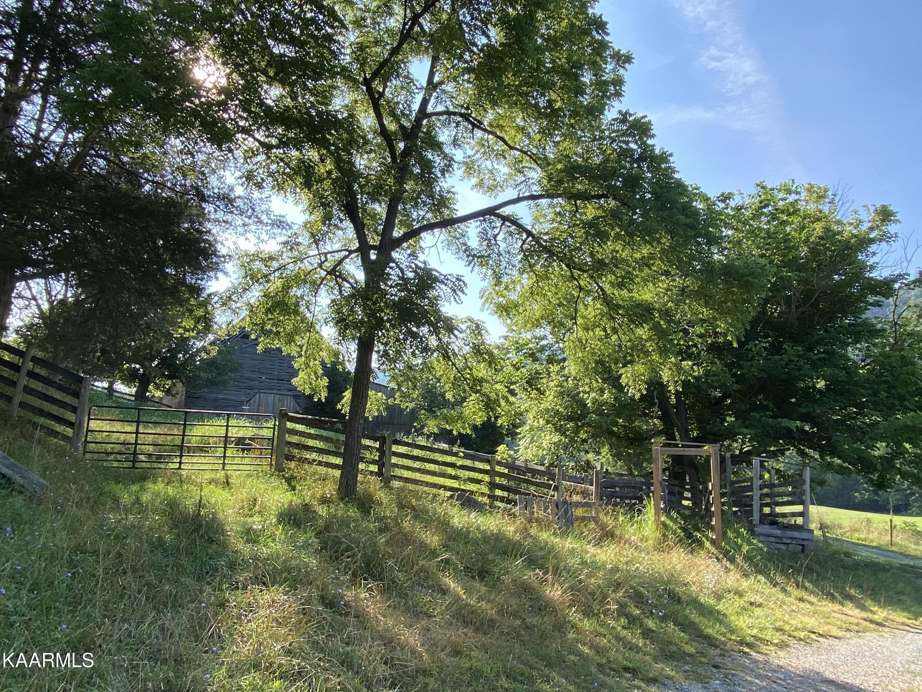 7247 Mulberry Gap Road Tazewell, TN 37879 - Photo 19 of 58 IMG-9055