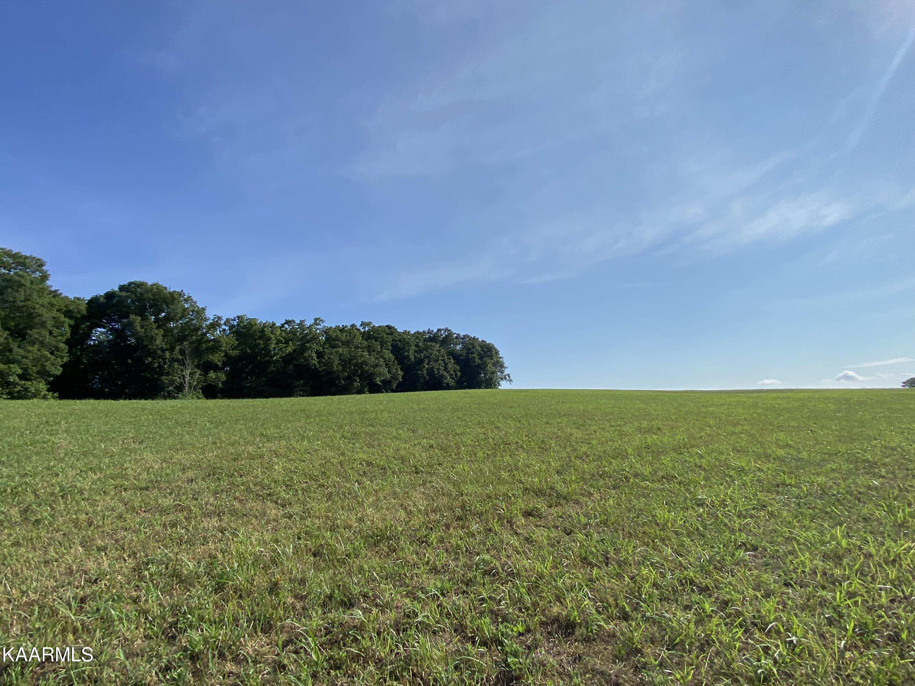 7247 Mulberry Gap Road Tazewell, TN 37879 - Photo 25 of 58 IMG-9105