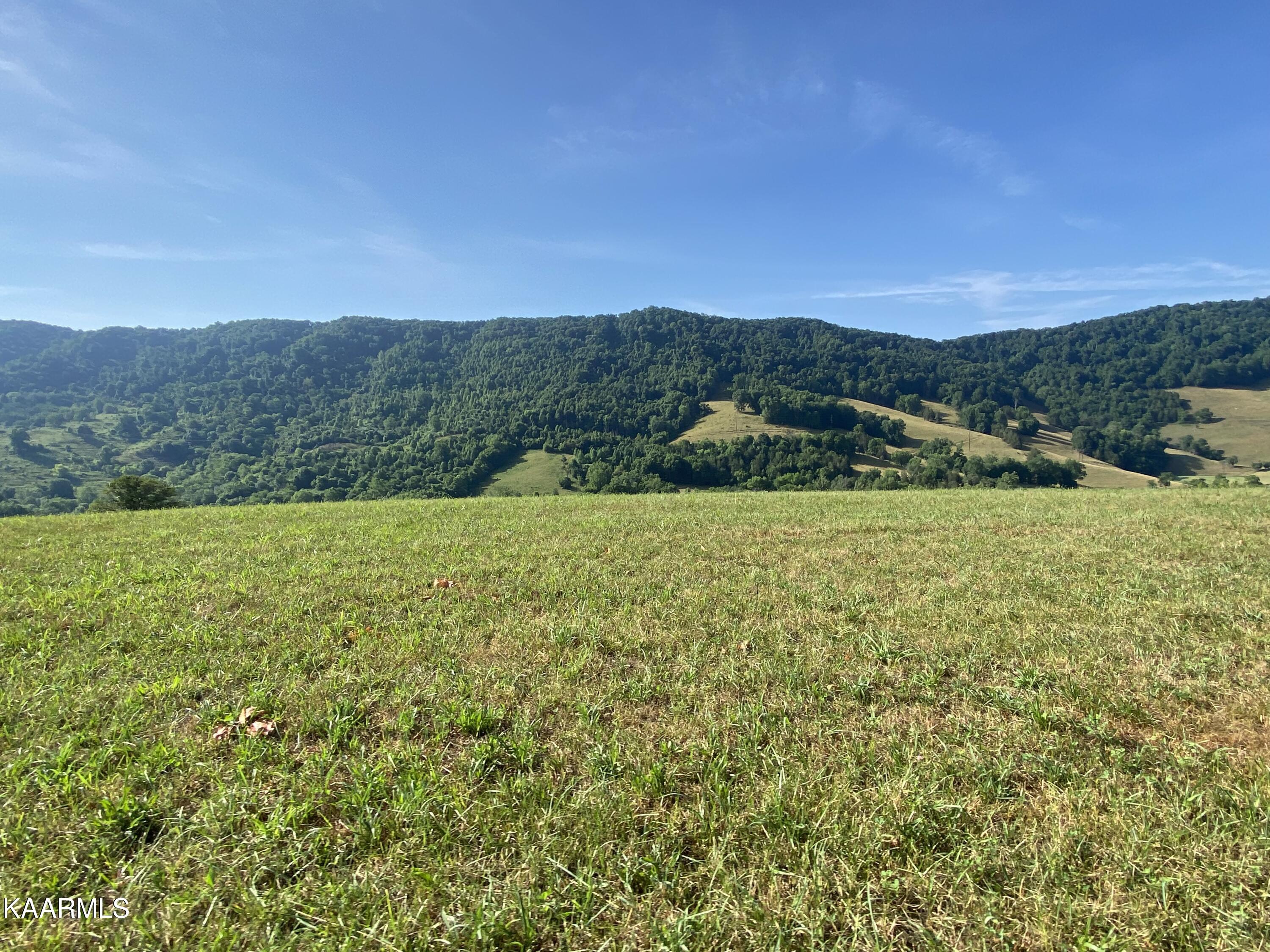 7247 Mulberry Gap Road Tazewell, TN 37879 - Photo 26 of 58 IMG-9108