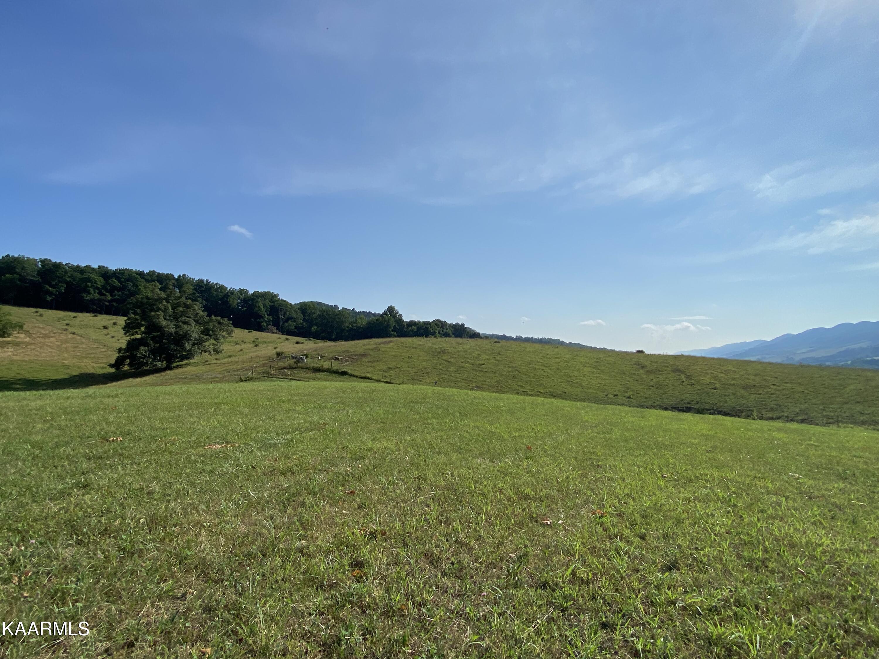 7247 Mulberry Gap Road Tazewell, TN 37879 - Photo 27 of 58 IMG-9113