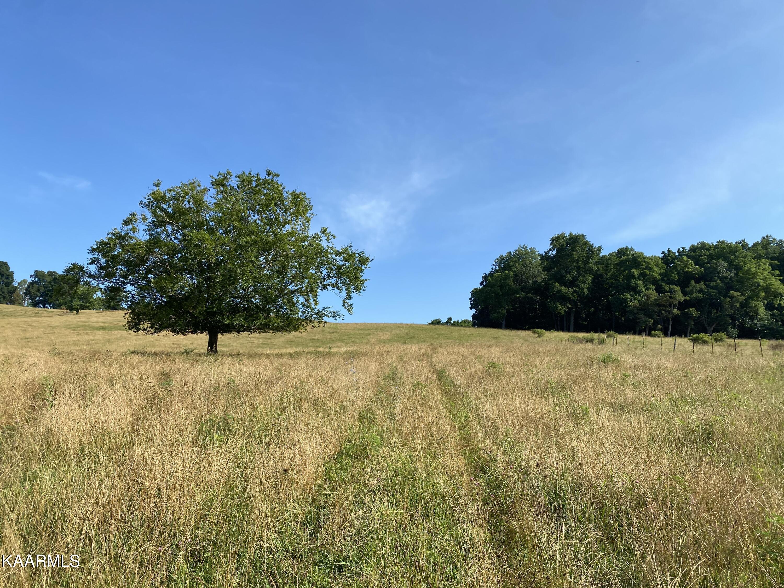 7247 Mulberry Gap Road Tazewell, TN 37879 - Photo 28 of 58 IMG-9119