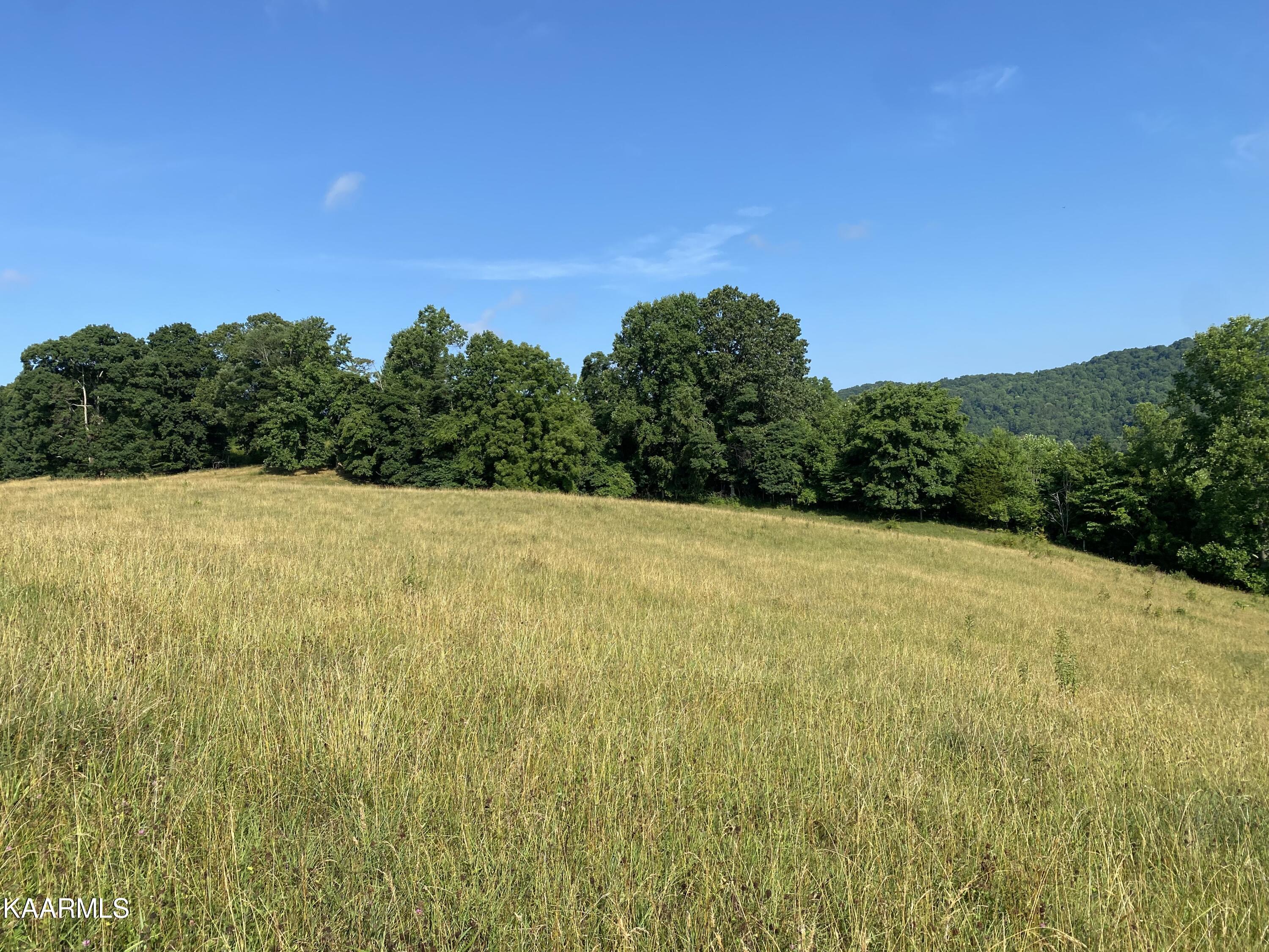 7247 Mulberry Gap Road Tazewell, TN 37879 - Photo 29 of 58 IMG-9125 (1)