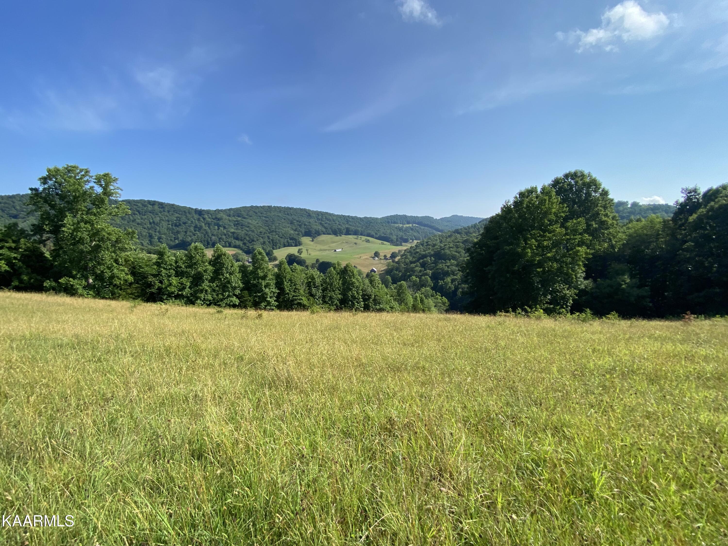 7247 Mulberry Gap Road Tazewell, TN 37879 - Photo 30 of 58 IMG-9136